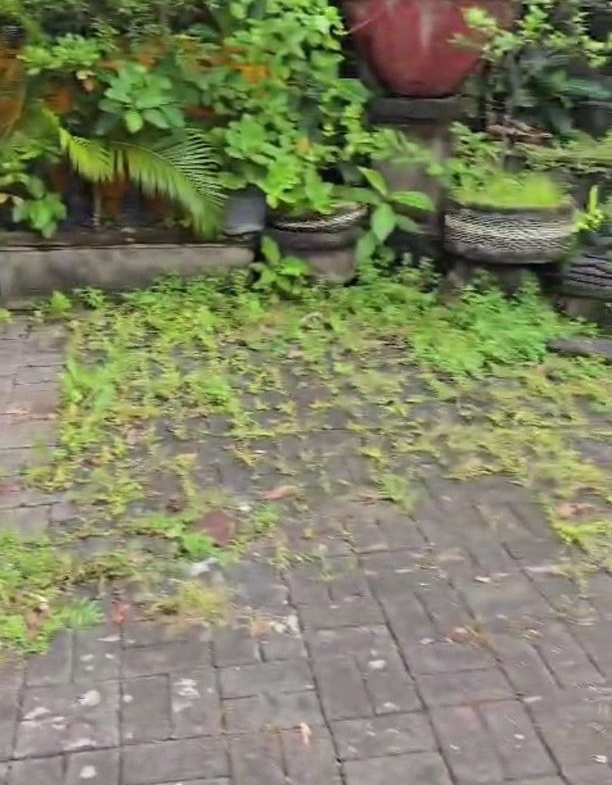 612