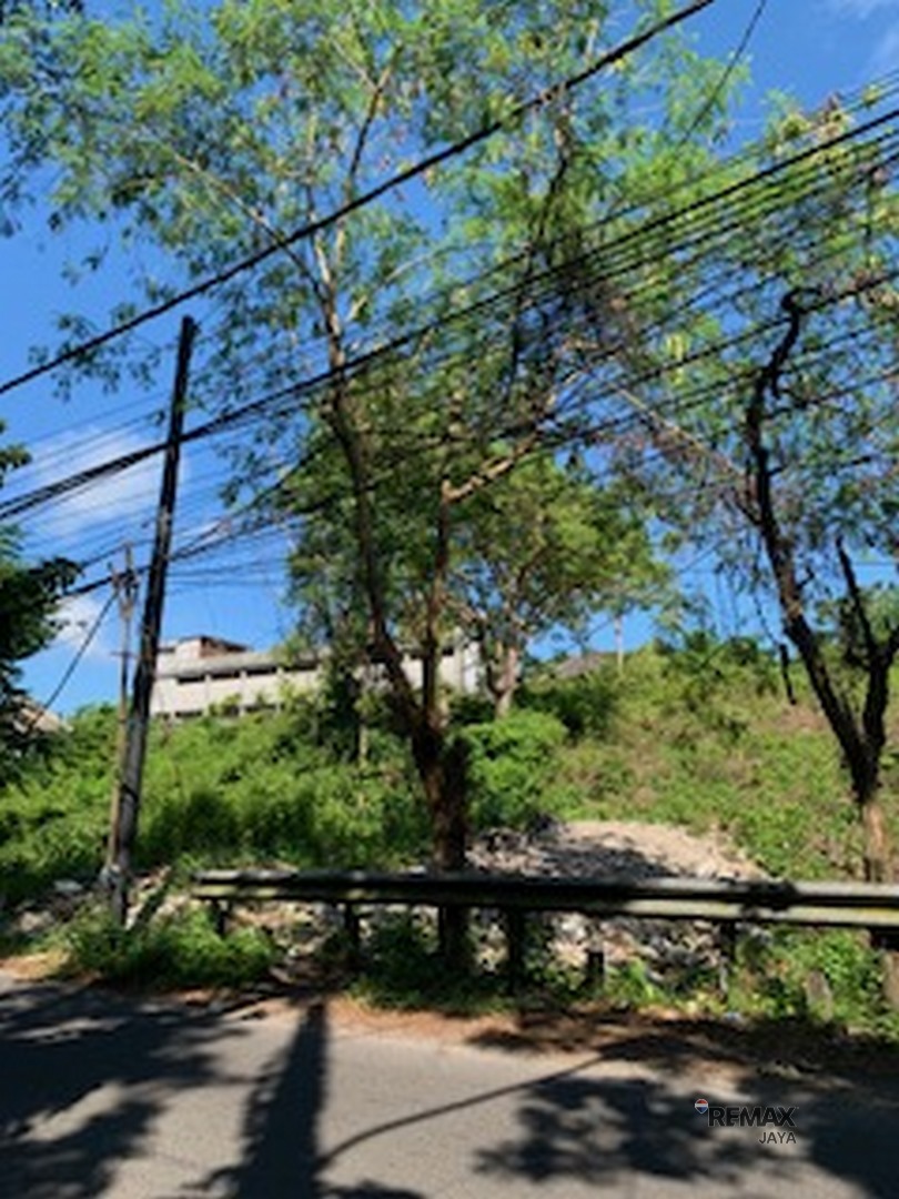 image3 (Copy)