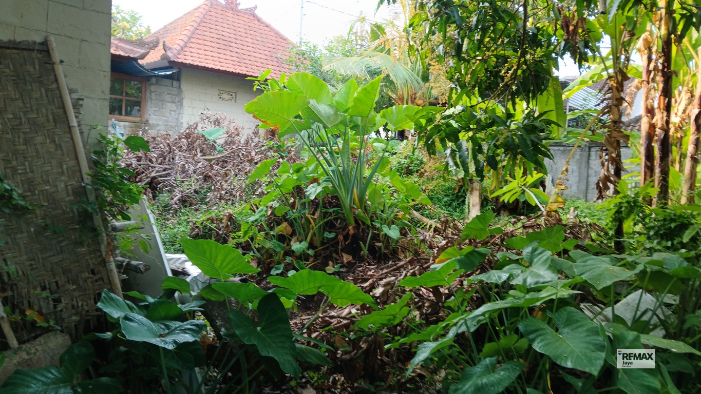 20260424_170108 (Copy)