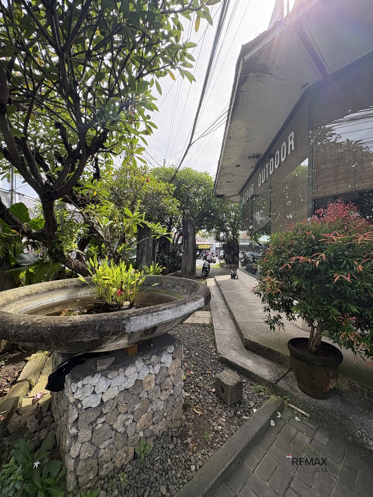 IMG_0666 (Copy)