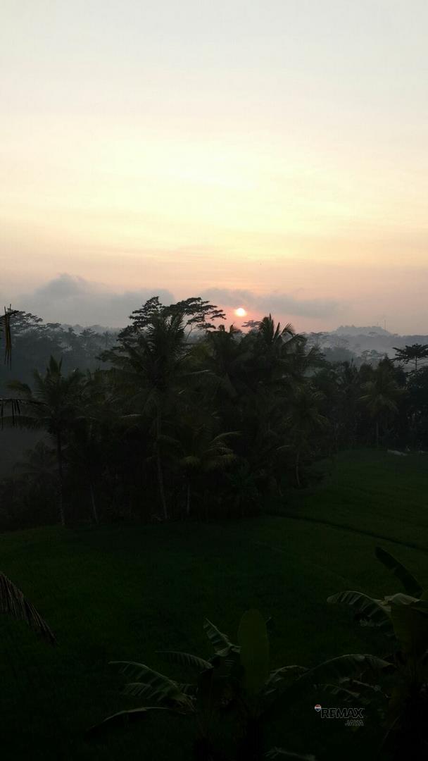 WhatsApp Image 2026-08-18 at 15.54.19 (4) (Copy)