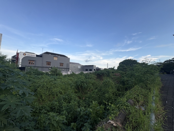 IMG 1914 1