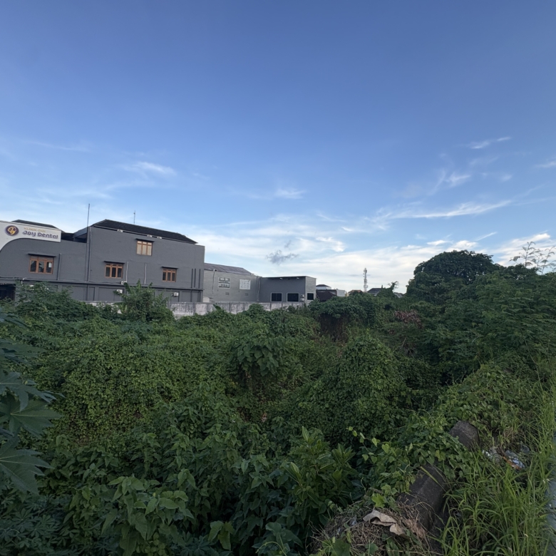 IMG 1914 1